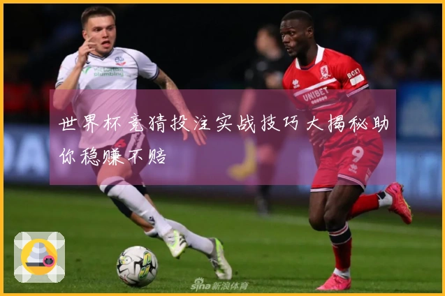 世界杯竞猜投注实战技巧大揭秘助你稳赚不赔