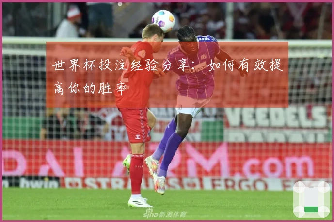 世界杯投注经验分享：如何有效提高你的胜率