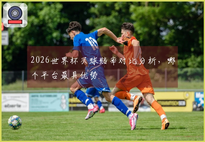 2026世界杯买球赔率对比分析，哪个平台最具优势