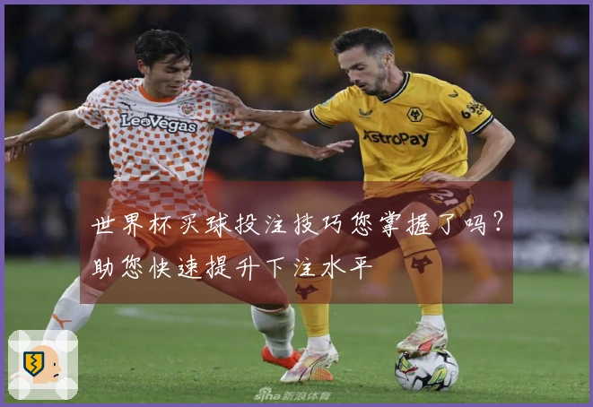 世界杯买球投注技巧您掌握了吗？助您快速提升下注水平