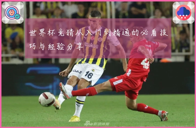 世界杯竞猜从入门到精通的必看技巧与经验分享