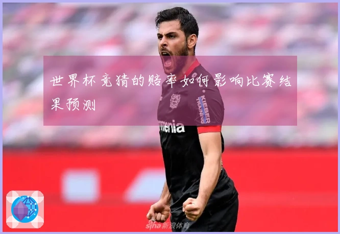 世界杯竞猜的赔率如何影响比赛结果预测