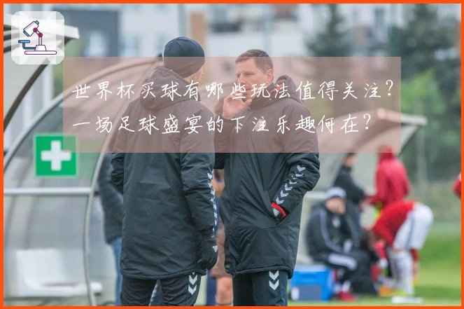 世界杯买球有哪些玩法值得关注？一场足球盛宴的下注乐趣何在？