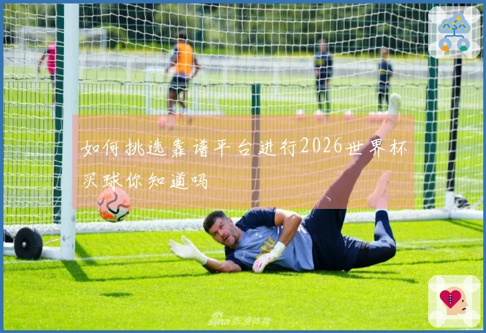 如何挑选靠谱平台进行2026世界杯买球你知道吗