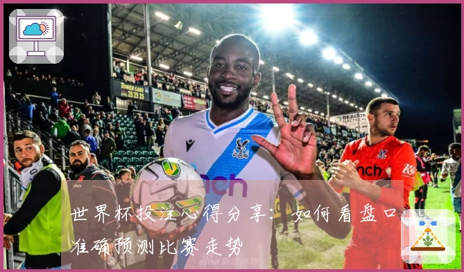 世界杯投注心得分享：如何看盘口准确预测比赛走势