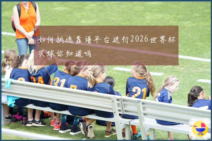 如何挑选靠谱平台进行2026世界杯买球你知道吗