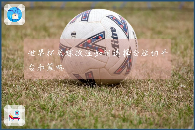 世界杯买球投注如何选择合适的平台和策略