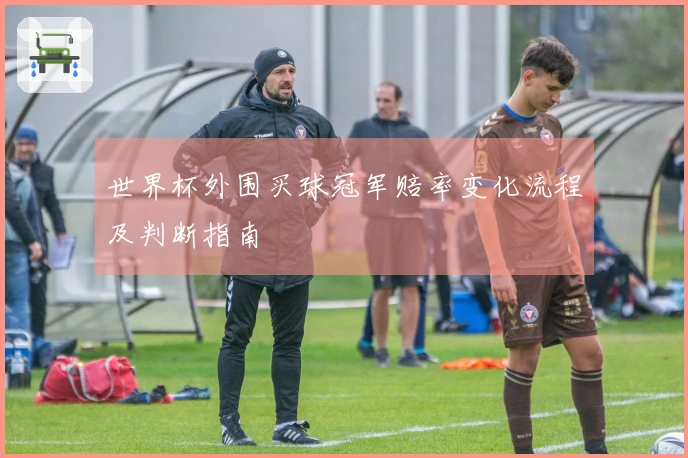 世界杯外围买球冠军赔率变化流程及判断指南
