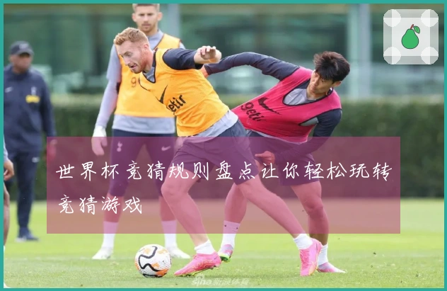 世界杯竞猜规则盘点让你轻松玩转竞猜游戏