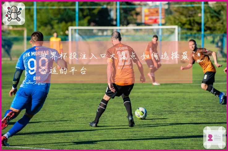 世界杯投注入口大盘点 如何选择最合适的平台