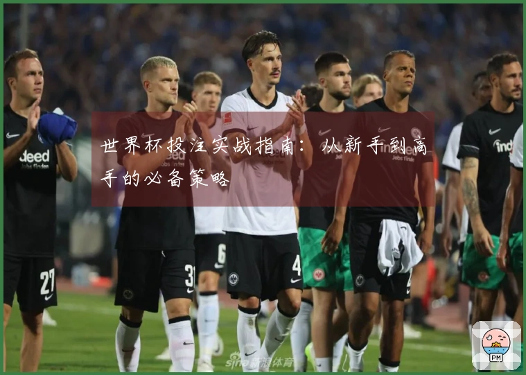 世界杯投注实战指南：从新手到高手的必备策略