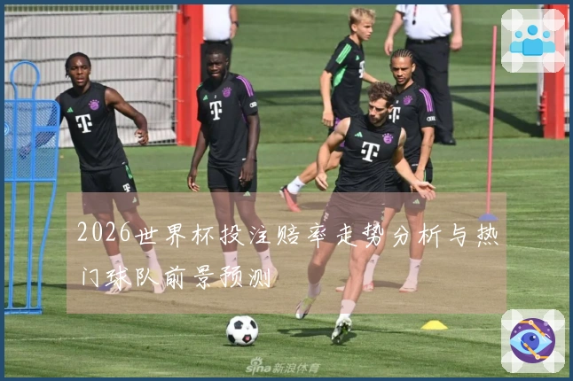 2026世界杯投注赔率走势分析与热门球队前景预测