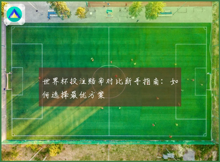 世界杯投注赔率对比新手指南：如何选择最优方案