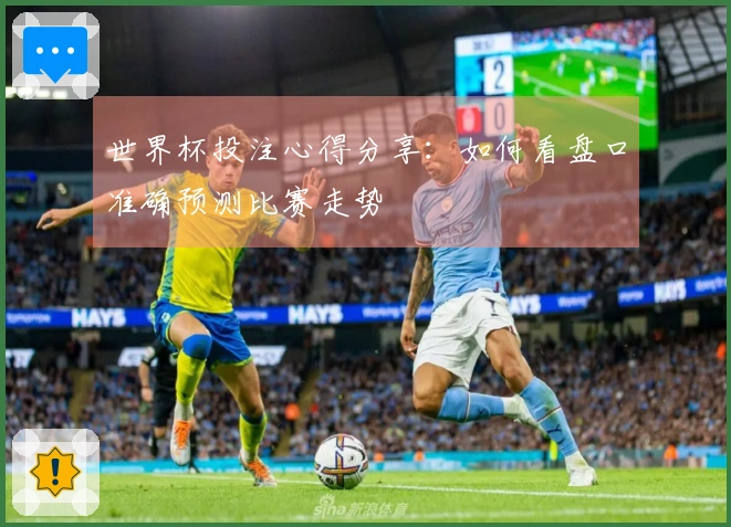 世界杯投注心得分享：如何看盘口准确预测比赛走势