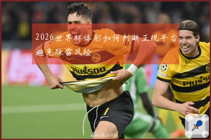 2026世界杯体彩如何判断正规平台避免踩雷风险