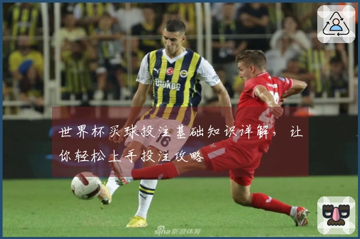 世界杯买球投注基础知识详解，让你轻松上手投注攻略