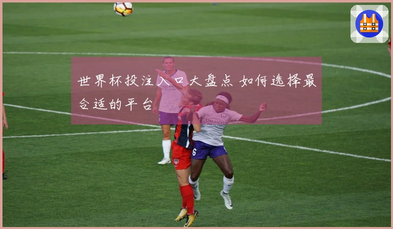 世界杯投注入口大盘点 如何选择最合适的平台