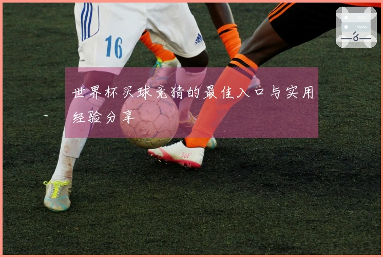 世界杯买球竞猜的最佳入口与实用经验分享